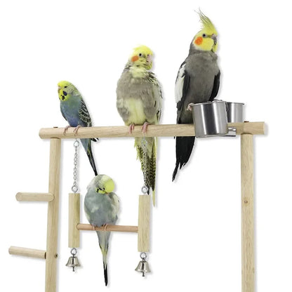 Parrot Playstand