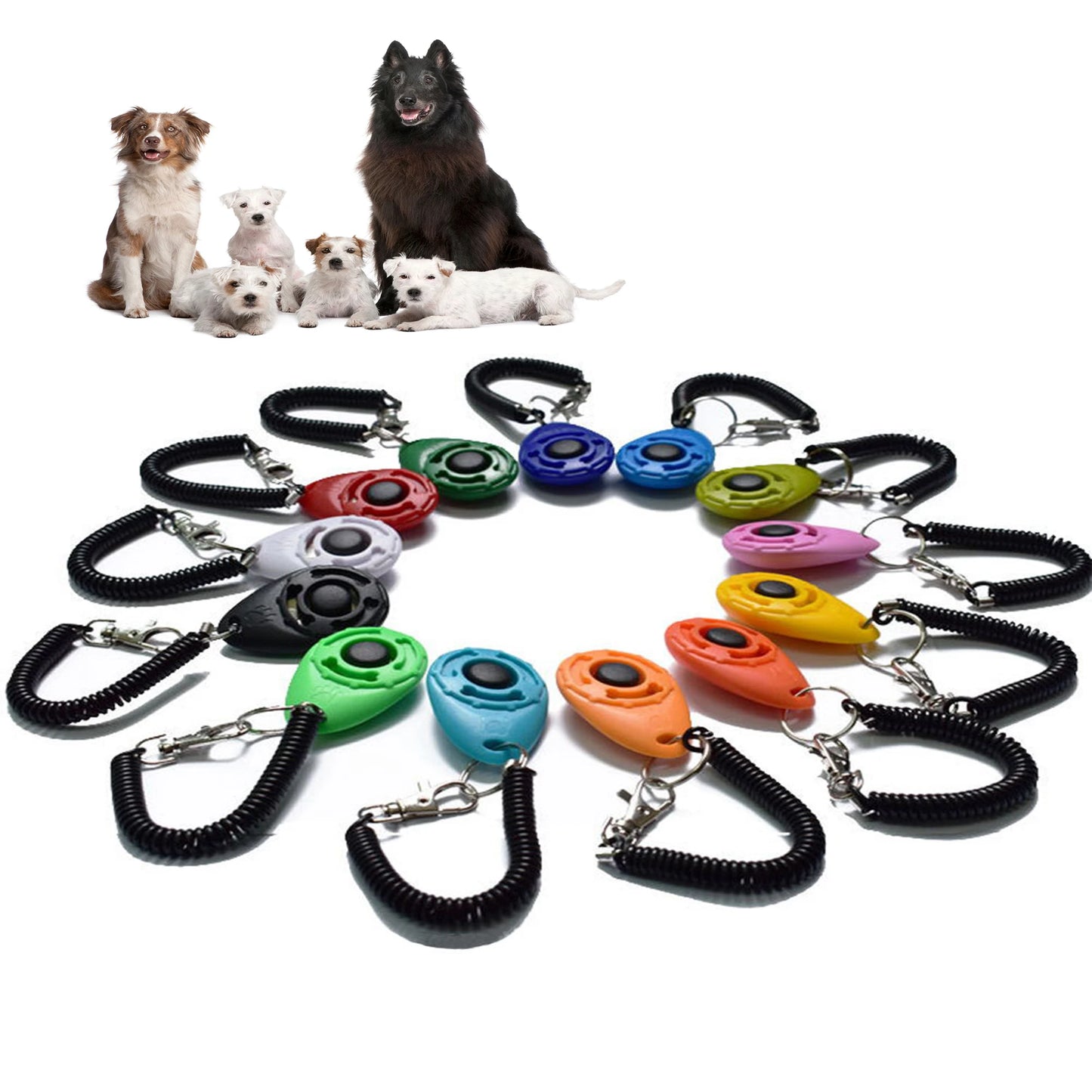 Pet leash