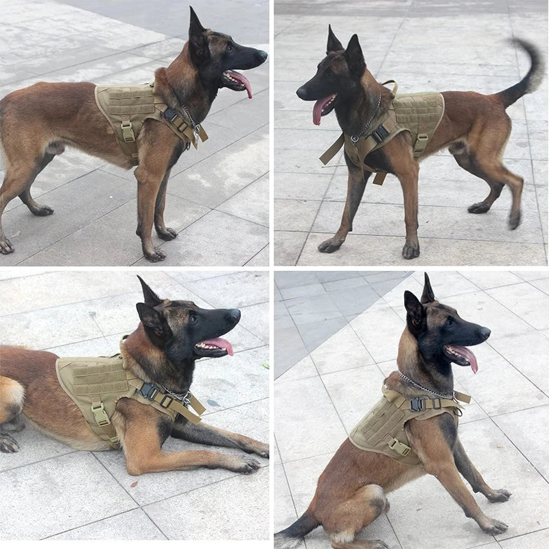 Military K9 harnessk